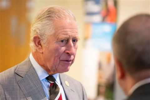 Prince Charles faces fresh accusations in Saudi cash-for-honours scandal 