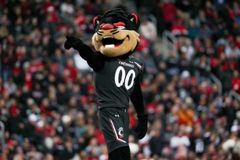 Why Is Cincinnati’s Football Team Called the Bearcats?