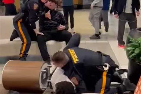 Viral Video of Mall Fight Causes Outrage — as Police Restrain Black Teen and White Teen VERY..