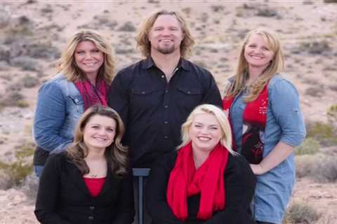 Is Sister Wives fake?