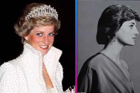 Princess Diana STUNS in Never-Before-Seen Portrait