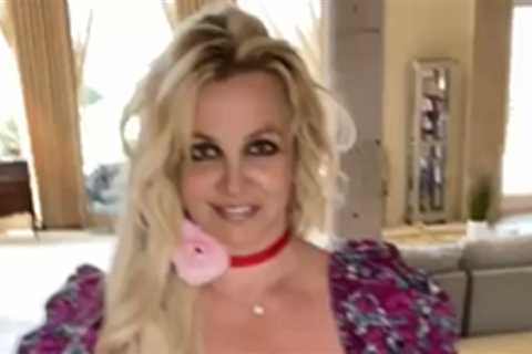 Pregnant Britney Spears Shows Off Baby Bump & Model Clothes ‘Before I Really Start Showing Me’