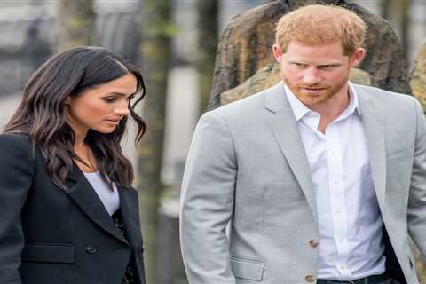 Meghan Markle and Prince Harry are ‘too out of touch’ & ‘naive’ for Netflix after TV show..