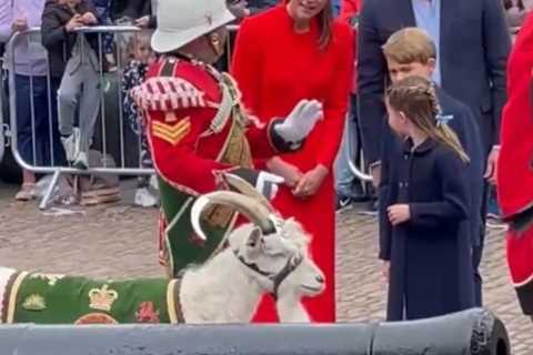 Royal fans gush over sweet moment Princess Charlotte copies Kate Middleton during Cardiff visit