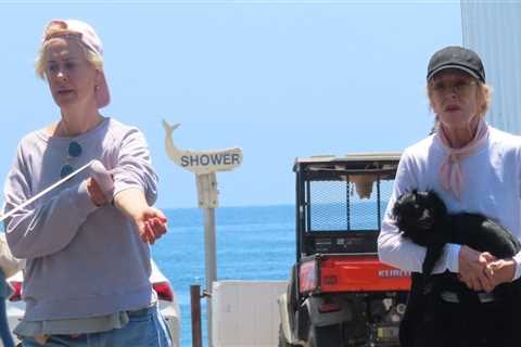 Sarah Paulson & girlfriend Holland Taylor enjoy the day at the beach with their dogs