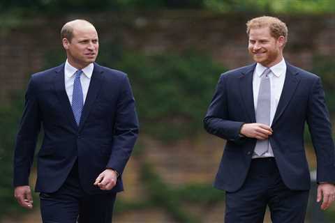 Prince William ‘mourning’ collapse of relationship with Harry & pals say there’s ‘little..