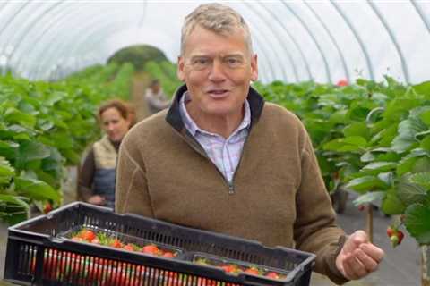 Countryfile’s Tom Heap overwhelmed as Ukrainian farm worker storms off in tears in heart-wrenching..