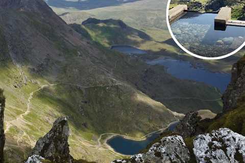 UK Teacher Falls to Her Death Searching for Viral Infinity Pool She Saw on TikTok