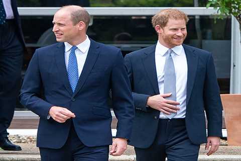 Prince William ‘made a conscious decision to put the Firm before family’ after Megxit, royal..