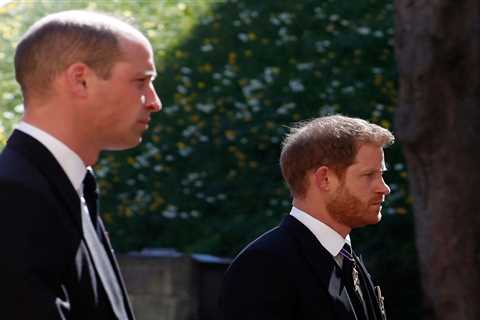 Prince Harry ‘slammed the phone down’ on William who ‘raced to confront him’ in heated row over..
