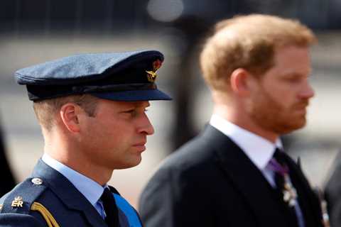 Prince Harry & William to stand together beside Queen’s coffin as they grieve with Royals at..