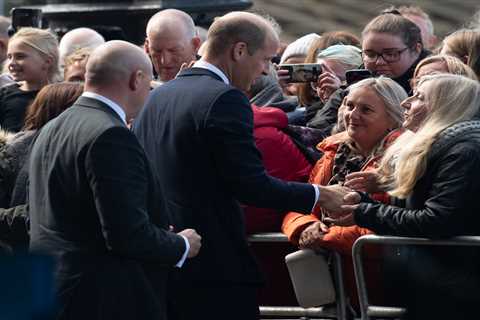 Sweet moment Prince William reassures well-wisher Queen’s Corgis are being well looked after as he..