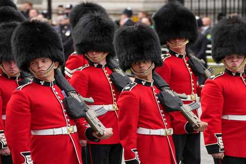 What is the camp colour of the Queen’s Company, 1st Battalion Grenadier Guards?