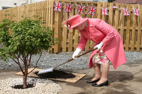 Trees from Platinum Jubilee will be planted across UK to honour The Queen