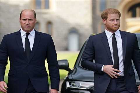 Shock reason Prince Harry ‘snubbed offer from William to heal their rift’ after bombshell TV..