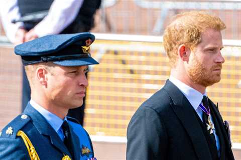 How old is Prince William and what is the age gap between him and Prince Harry?