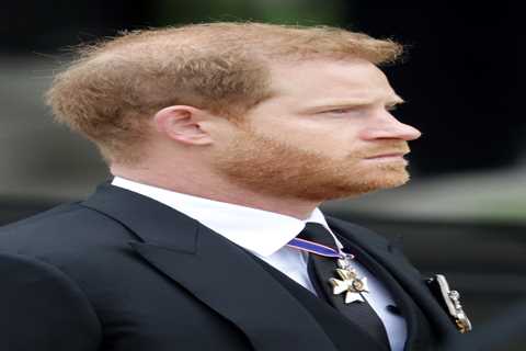 Prince Harry betrayed King and country for a fistful of Netflix dollars, says leading author Tom..