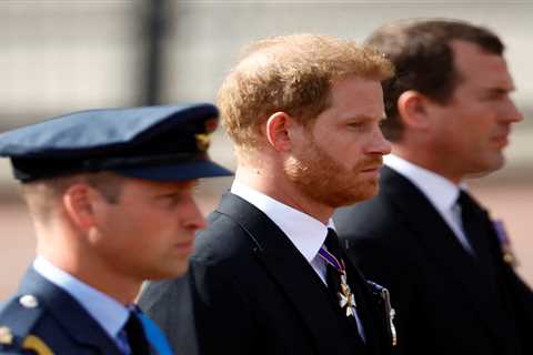 Seven times Prince Harry was welcomed by royal family – even though he claimed there’s ‘no..