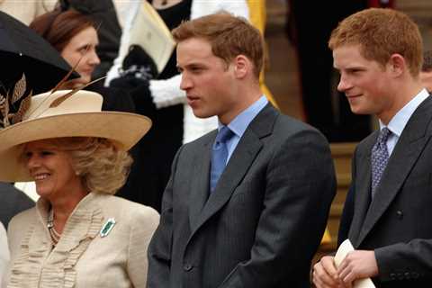 I feared Camilla would be my wicked stepmother – Prince William and I begged our dad King Charles..