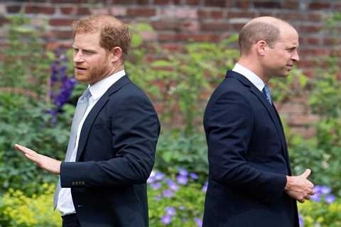 Prince Harry’s jealousy of William is made apparent in bombshell memoir