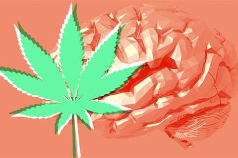 5 Things To Know About The Endocannabinoid System