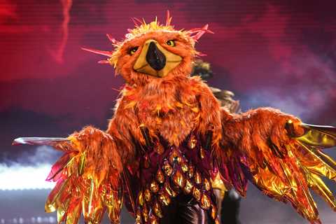 The Masked Singer fans convinced of Phoenix identity after latest clues