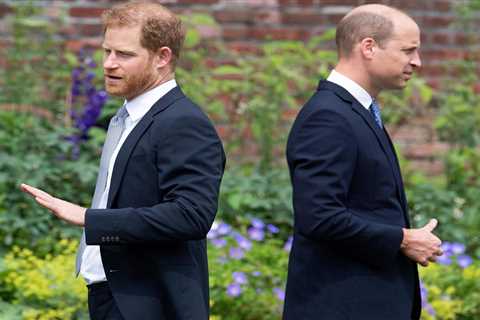 William and Harry need their heads banging together to end their war, says Harry Redknapp