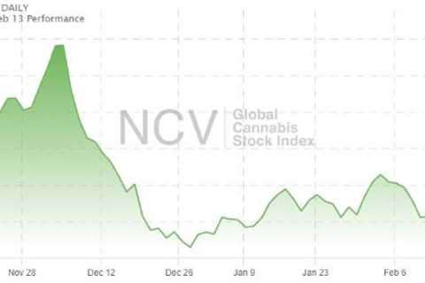 Cannabis Stocks Are a Bargain Right Now. Here’s Why