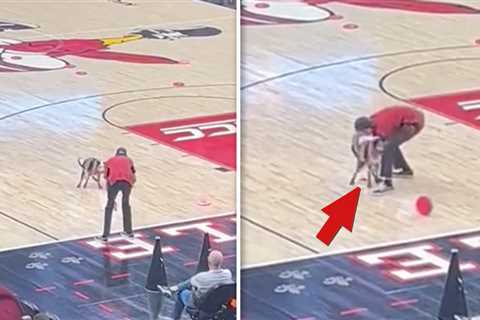 Dog Poops On Basketball Court During Louisville Halftime Show