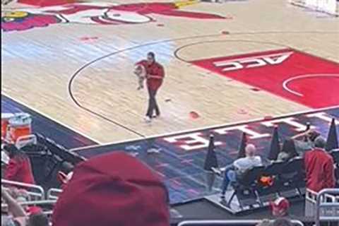 Dog poops on court at halftime of Louisville-Virginia Tech basketball game