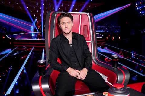 Watch Niall Horan Convince ‘The Voice’ Contestant Ross Clayton to Join His Team in a Very..