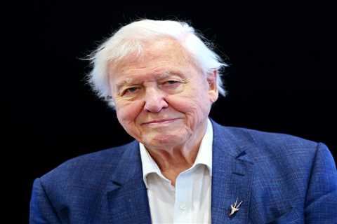 BBC ‘will NOT air episode of David Attenborough’s new series Wild Isles over fears of right-wing..
