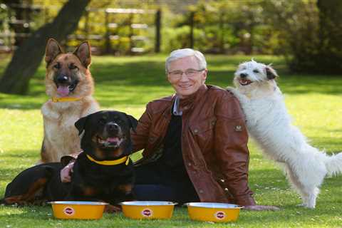 Paul O’Grady tried to convince the Queen to adopt corgi as late star’s sneaky tactics to help..