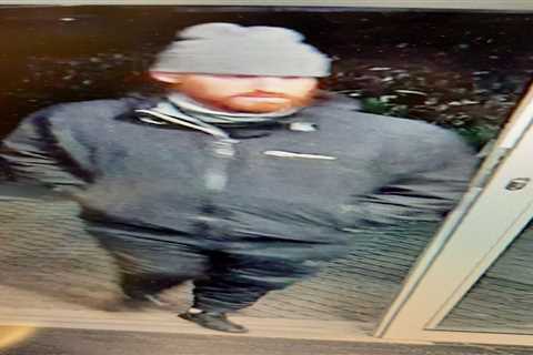 Cops hunting Prince Harry lookalike after designer handbag stolen from car