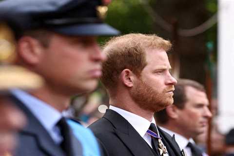 Will Prince William and Harry wear military uniforms to King Charles’ coronation?’