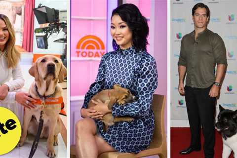 19 Adorable Celeb Pets That'll Make You Say Awwww!