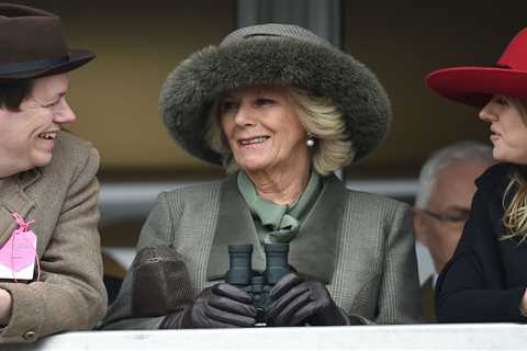 Who are Queen Camilla’s grandchildren?