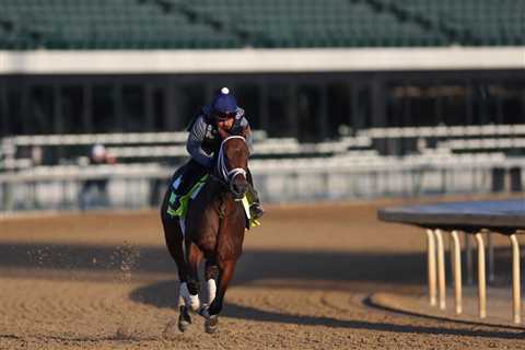 Kentucky Derby 2023: Picks and predictions from the experts
