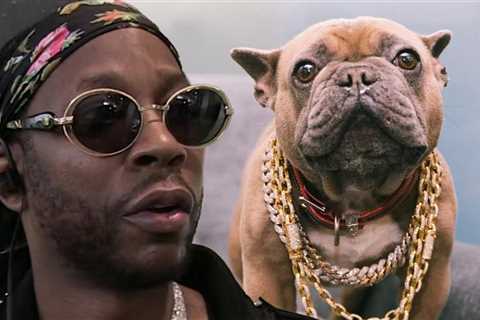 2 Chainz Mourns Death of Dog He 'Loved More Than Some People'