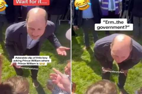Hilarious moment little boy confuses Prince William for ‘the government’ during sweet meeting