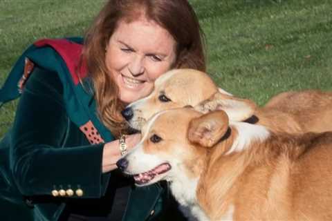 Sarah Ferguson reveals walking the late Queen’s corgis is helping her breast cancer recovery