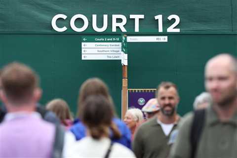 Wimbledon fans told to refrain from having sex in quiet rooms