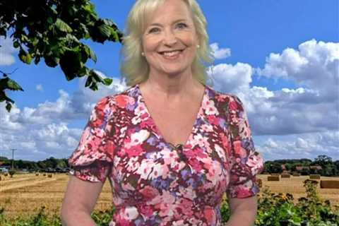BBC Breakfast’s Carol Kirkwood ‘gets more beautiful every day’ in gorgeous figure-hugging dress