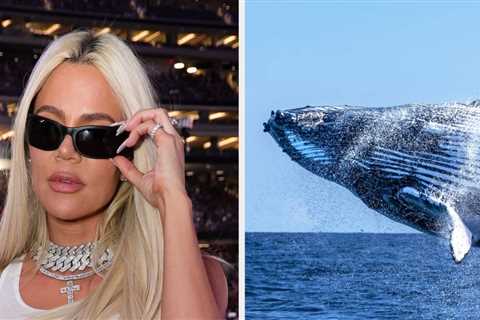 Here's How The Internet Reacted To Khloé Kardashian Revealing That She's Terrified Of Whales