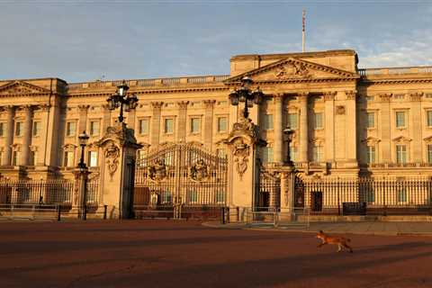 Tourist, 25, ‘scaled wall to break into Buckingham Palace during 10-day trip to UK’