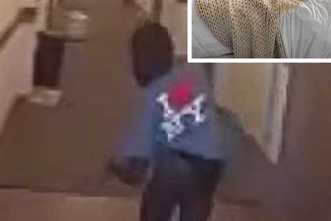 Video of Man Wearing Female Victim's Underwear After Alleged Break-in, Lurks Apartment Hallways