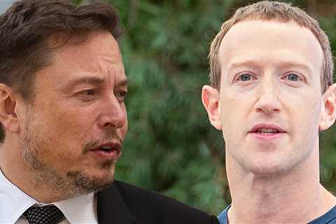 Elon Musk Says It's Mark Zuckerberg's Fault MMA Fight Didn't Happen