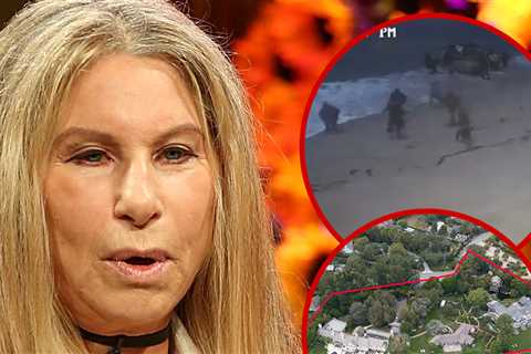 Migrant Boat Reportedly Washed Ashore Near Barbra Streisand's Malibu Home