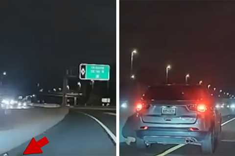 Runaway Dog Makes A Dash For It Down Highway, Rescue On Camera