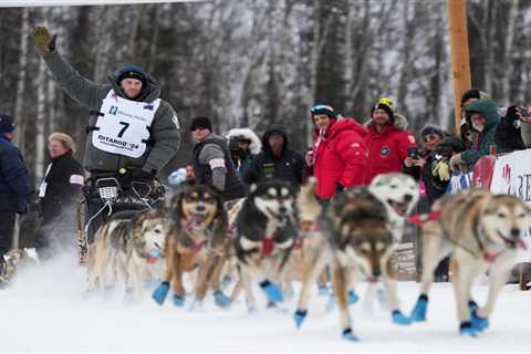 Iditarod veteran Dallas Seavey had to shoot, gut moose that injured dog during race